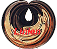 linien.gif (9784 Byte)