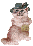 a-cat22.gif (11480 Byte)