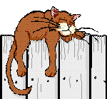 cat2.gif (9256 Byte)