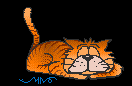 cat7.gif (4119 Byte)