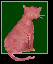 catss.gif (2451 Byte)