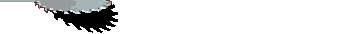 anisa.gif (5754 Byte)