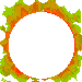 1afaced.gif (20245 Byte)