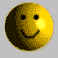 wpe3.jpg (1325 Byte)